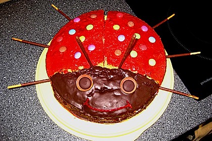 Gl&uuml;cksk&auml;fer (Marienk&auml;fer) 41