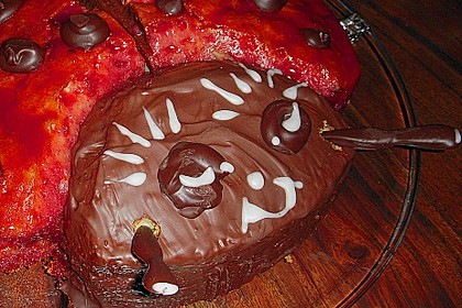 Gl&uuml;cksk&auml;fer (Marienk&auml;fer) 100