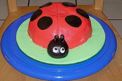 Gl&uuml;cksk&auml;fer (Marienk&auml;fer) 6