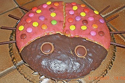 Gl&uuml;cksk&auml;fer (Marienk&auml;fer) 8