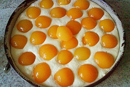 Dieters Käsekuchen ohne Boden 22