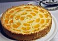 K&auml;sekuchen mit Mandarinen