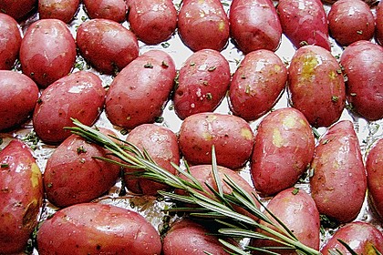 Rosmarinkartoffeln 1