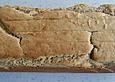 Kuchenbrot