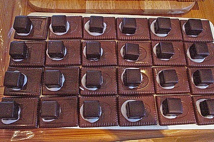 Hexenhaus aus Butterkeksen 95