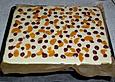 Saftiger K&auml;sekuchen mit Fr&uuml;chten