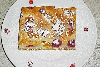 Saftiger K&auml;sekuchen mit Fr&uuml;chten 1