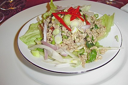 Thailändischer Schweinehackfleischsalat 7