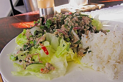 Thailändischer Schweinehackfleischsalat 6