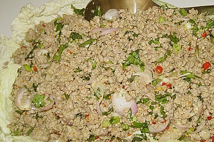 Thailändischer Schweinehackfleischsalat 8