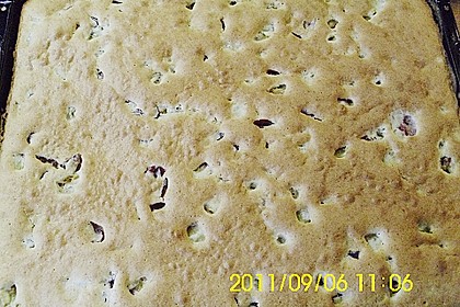 Pflaumenkuchen 2