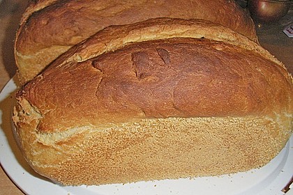 K&uuml;rbisstuten 2