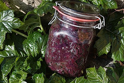 Rotkohl, frisch zubereitet 15