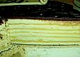 Birnen - Schoko - Torte