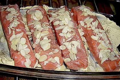Lachs 13