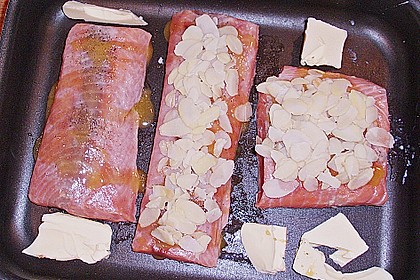 Lachs 15