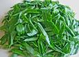 Schrats B&auml;rlauchpesto