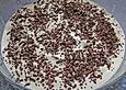 Dreadys KiBa - Creme mit Schokoraspeln