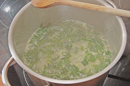 Brennnessel - Giersch - L&ouml;wenzahn Suppe