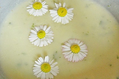 Brennnessel - Giersch - L&ouml;wenzahn Suppe 2