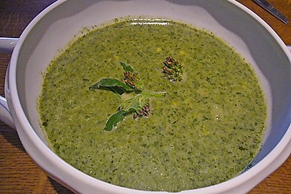 Brennnessel - Giersch - L&ouml;wenzahn Suppe 4