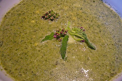 Brennnessel - Giersch - L&ouml;wenzahn Suppe 5