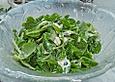 Feldsalat mit Dressing