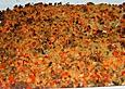 Schlemmerfisch Bordelaise