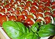 Tomate - Mozzarella - Sticks