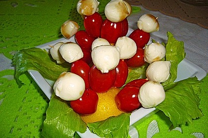 Tomate - Mozzarella - Sticks 55