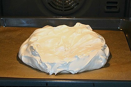 Pavlova 23