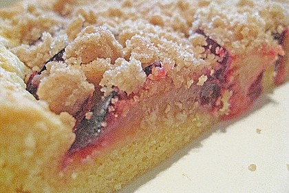 Hildes Zwetschgenkuchen mit Zimtstreuseln 169