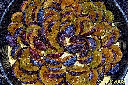 Hildes Zwetschgenkuchen mit Zimtstreuseln 182