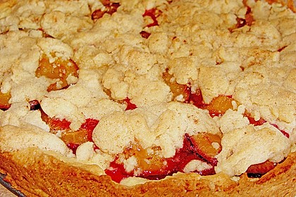 Hildes Zwetschgenkuchen mit Zimtstreuseln 126