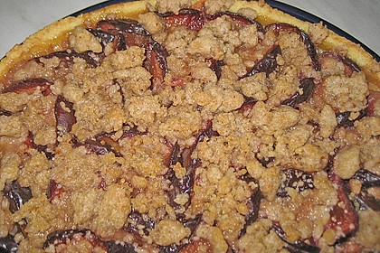 Hildes Zwetschgenkuchen mit Zimtstreuseln 163