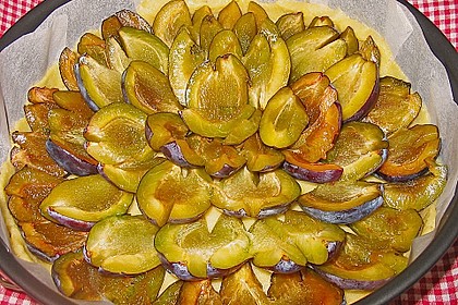 Hildes Zwetschgenkuchen mit Zimtstreuseln 157
