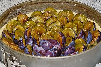 Hildes Zwetschgenkuchen mit Zimtstreuseln 179