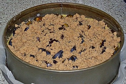 Hildes Zwetschgenkuchen mit Zimtstreuseln 210
