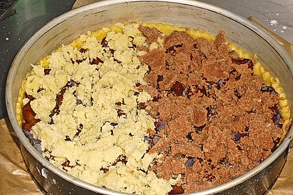 Hildes Zwetschgenkuchen mit Zimtstreuseln 213