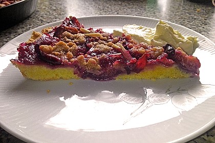 Hildes Zwetschgenkuchen mit Zimtstreuseln 199