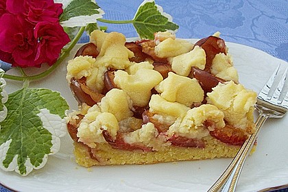 Hildes Zwetschgenkuchen mit Zimtstreuseln 5