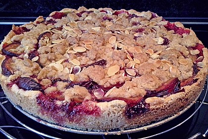 Hildes Zwetschgenkuchen mit Zimtstreuseln 111