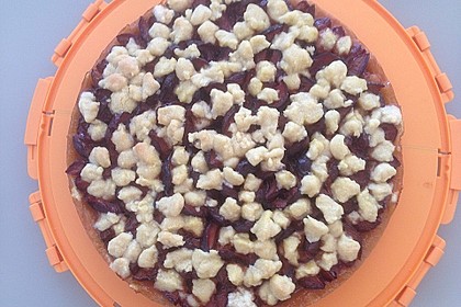 Hildes Zwetschgenkuchen mit Zimtstreuseln 75