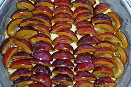 Hildes Zwetschgenkuchen mit Zimtstreuseln 174