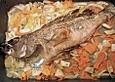 Garoupa (Barsch) auf Karotten - Fechel - Gem&uuml;se mit Orange