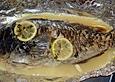 Papageienfisch mit S&uuml;&szlig;kartoffelauflauf