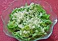 Kopfsalat mit Ei - Dressing