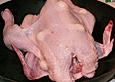 Extremes Knoblauchhuhn