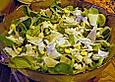 Feldsalat mit Parmesan und Mais