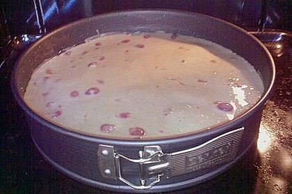 Rotweinkuchen mit Kirschen 9
